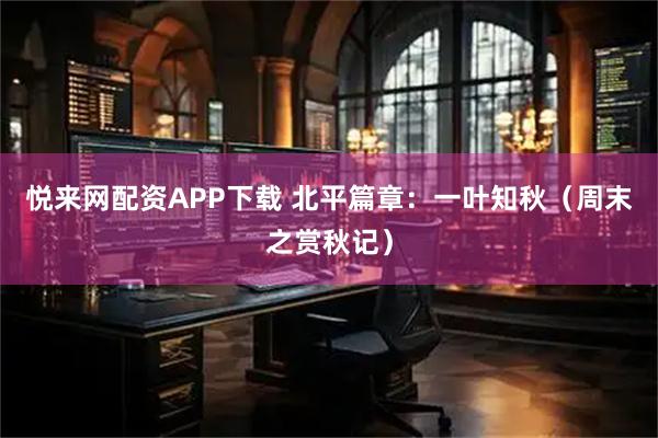 悦来网配资APP下载 北平篇章：一叶知秋（周末之赏秋记）